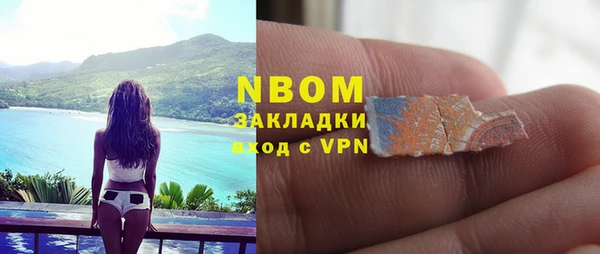 стаф Бородино