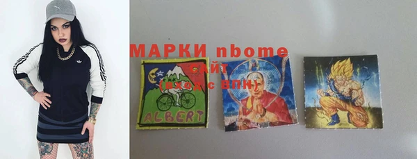стаф Бородино