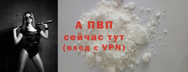 стаф Бородино