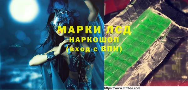 стаф Бородино